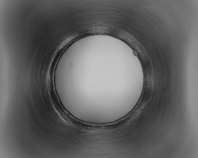 X0000086720674200705111555