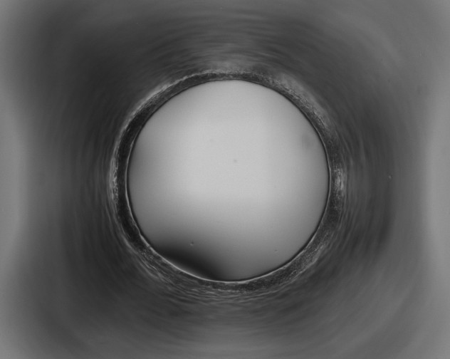 X0000086720676200705111555