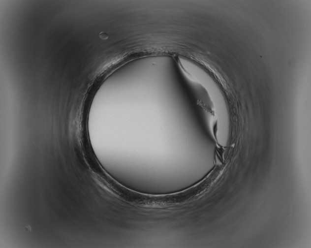 X0000086720677200705111555