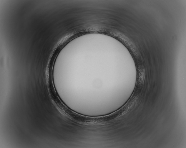 X0000086720678200705111555