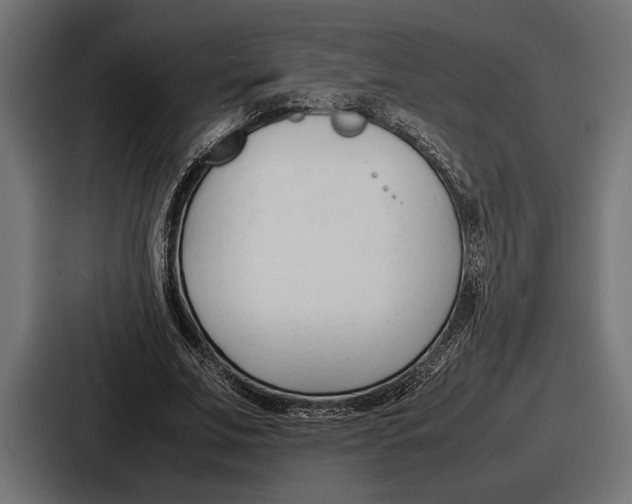 X0000086720679200705111555