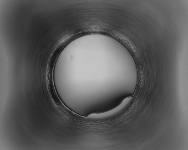 X0000086720680200705111555