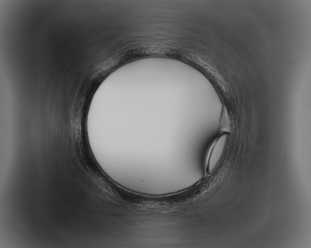 X0000086720681200705111555