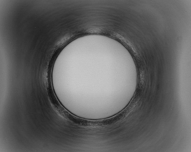 X0000086720682200705111555