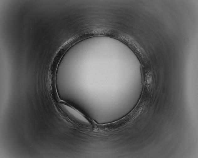 X0000086720684200705111555