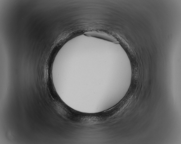 X0000086720685200705111555