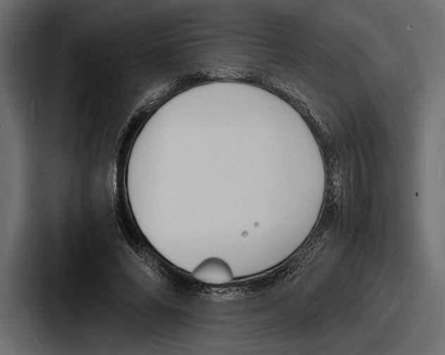 X0000086720686200705111555