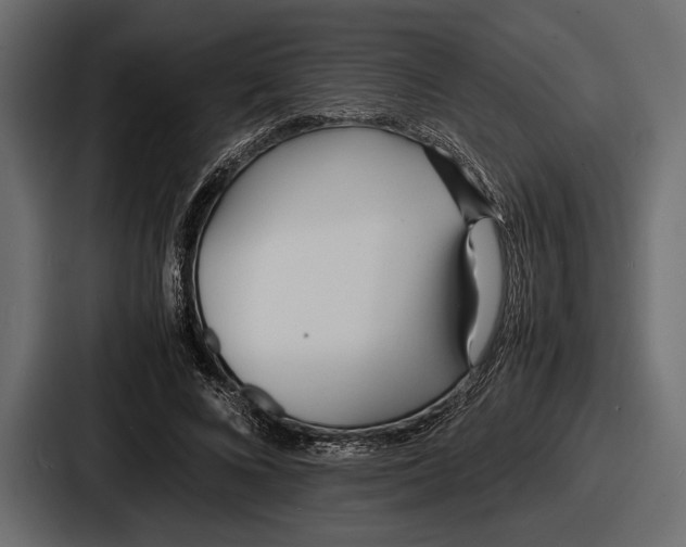 X0000086720688200705111555