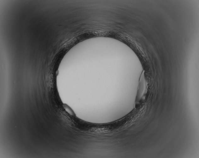 X0000086720689200705111555