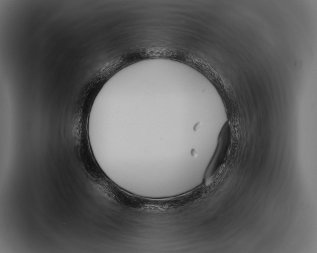 X0000086720690200705111555