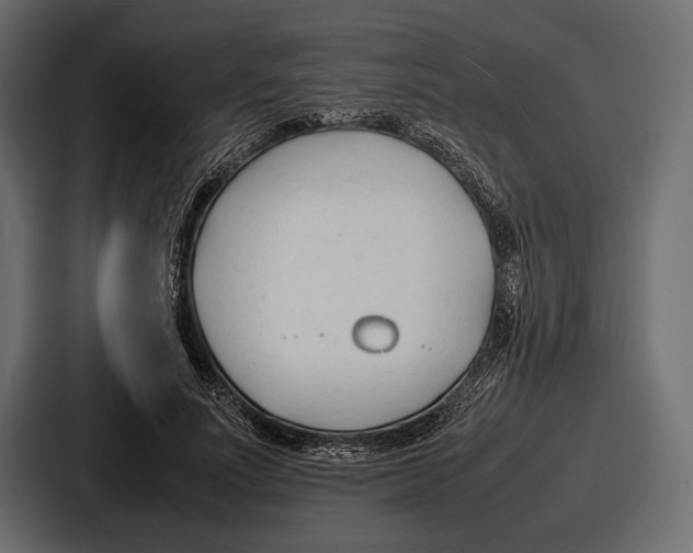 X0000086720691200705111555