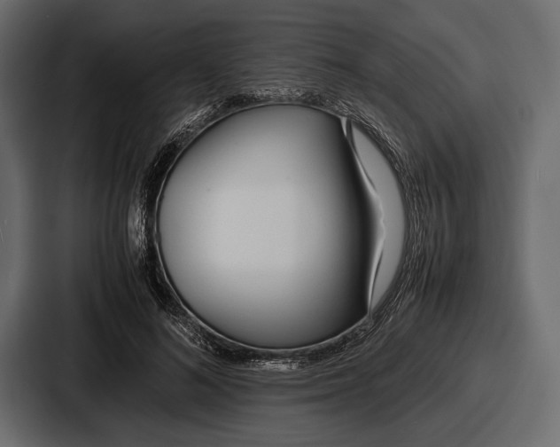 X0000086720692200705111555