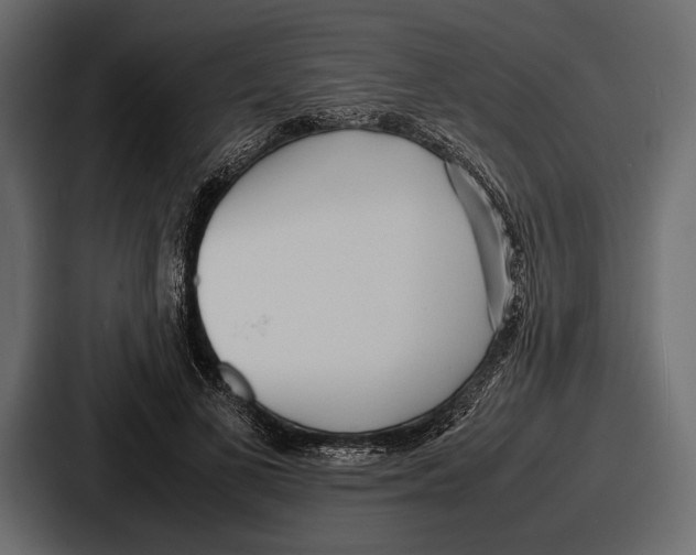 X0000086720693200705111555