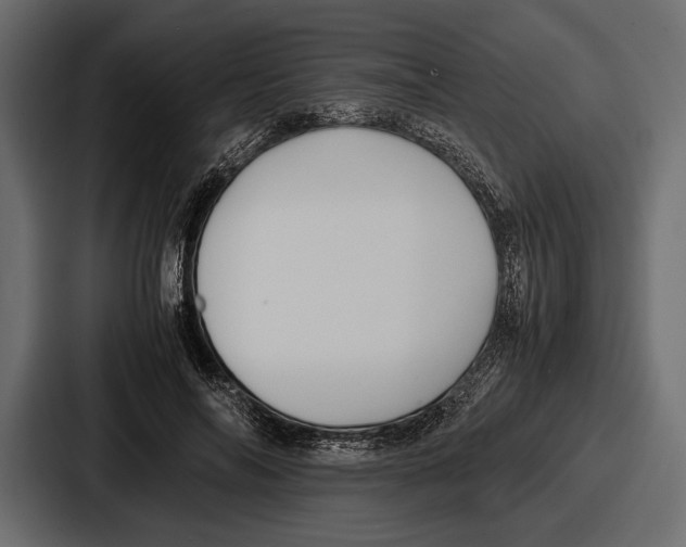 X0000086720694200705111555