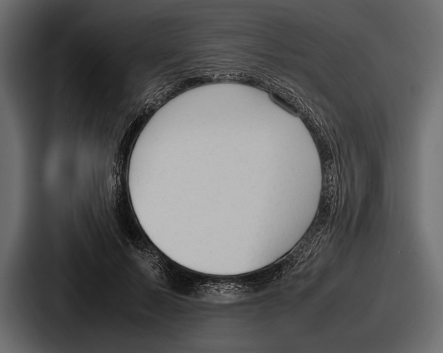 X0000086720695200705111555