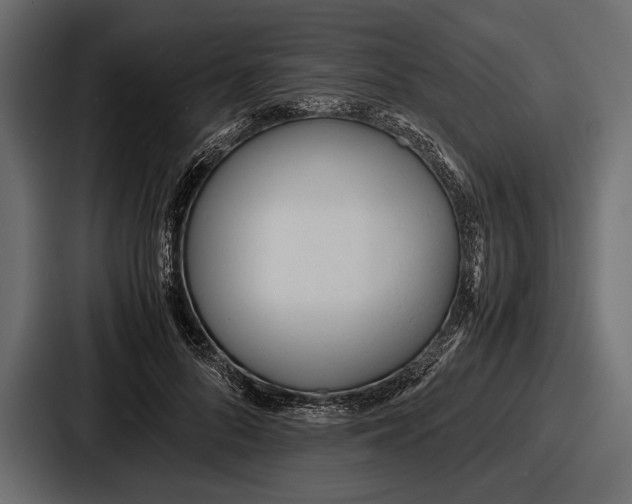 X0000086720696200705111555