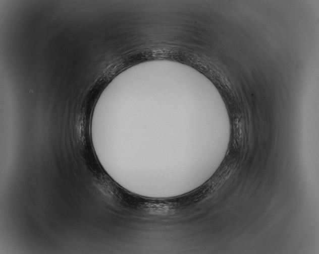 X0000086720698200705111555