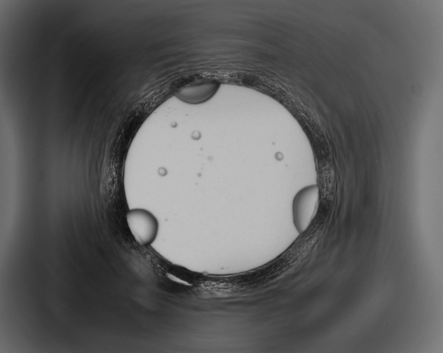 X0000086720699200705111555