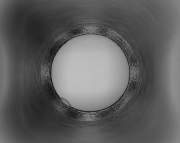 X0000086720701200705111555