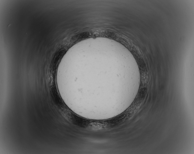 X0000086720703200705111555