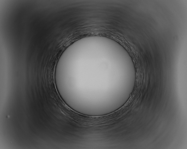 X0000086720704200705111555