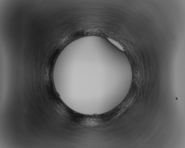 X0000086720708200705111555