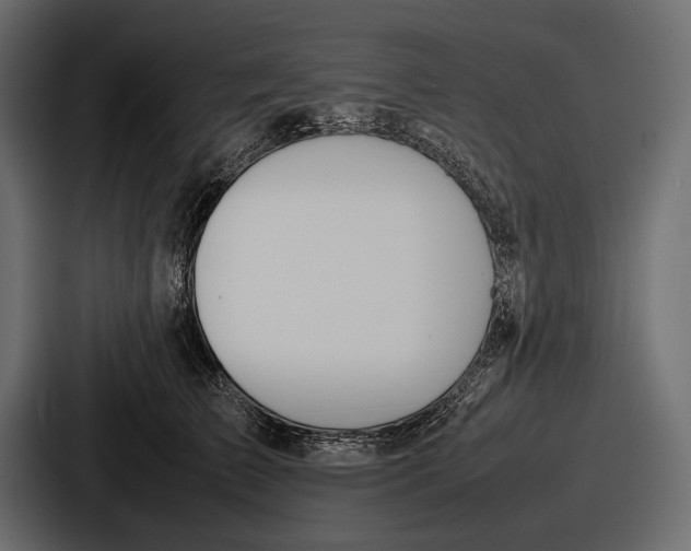 X0000086720709200705111555