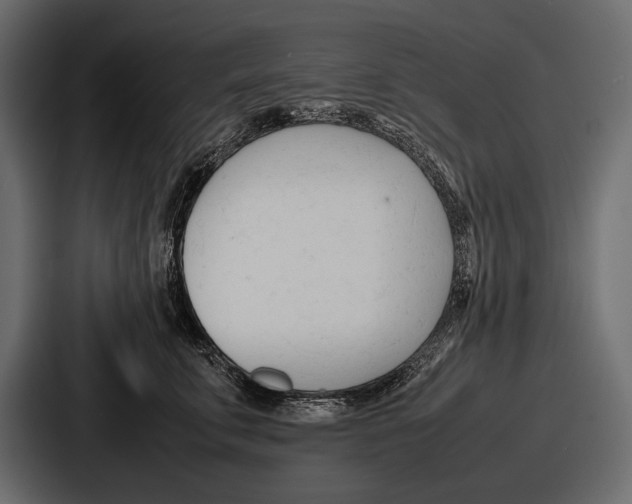 X0000086720711200705111555