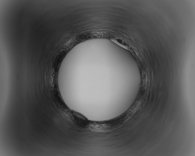 X0000086720712200705111555