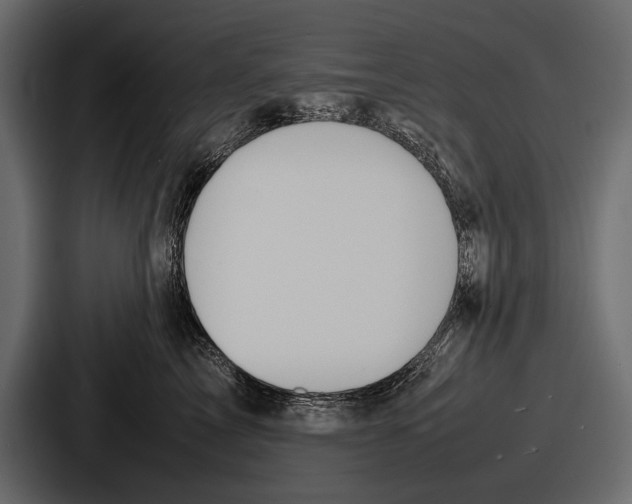 X0000086720713200705111555