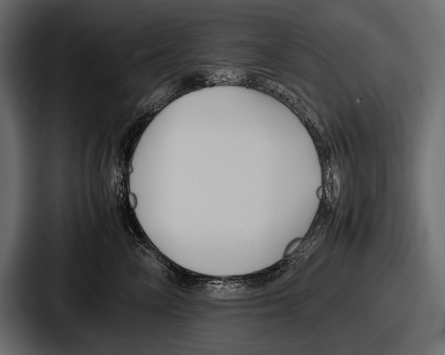 X0000086720714200705111555