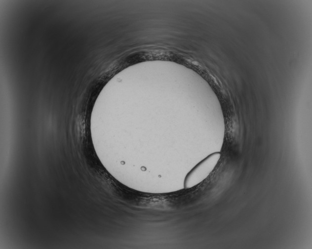 X0000086720715200705111555