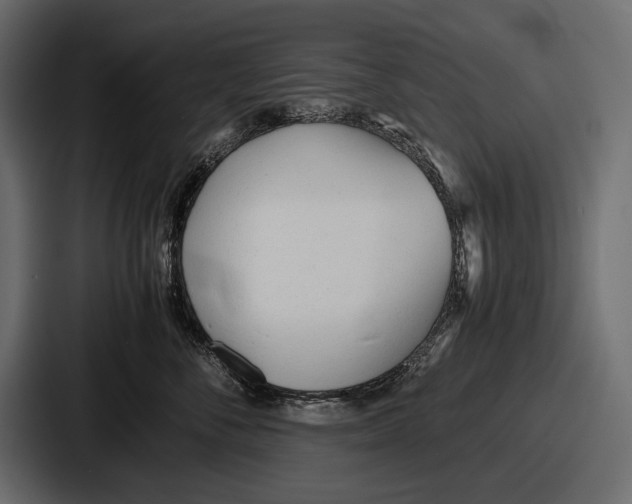 X0000086720716200705111555