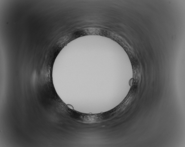 X0000086720717200705111555