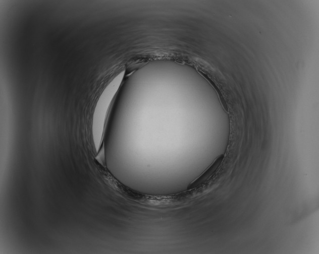 X0000086720720200705111555