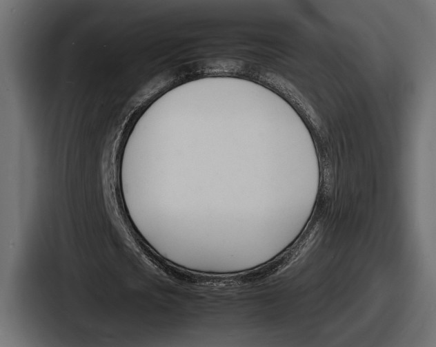 X0000086720721200705111554