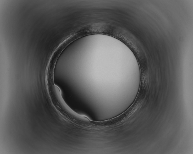 X0000086720722200705111554