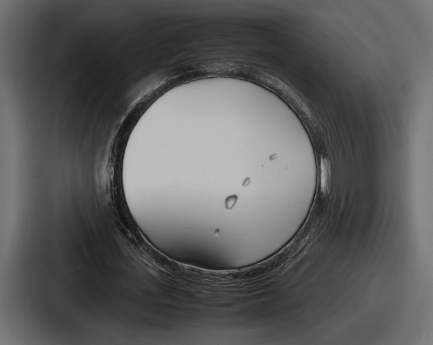 X0000086720723200705111554