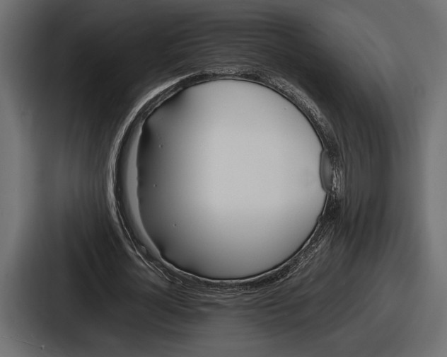 X0000086720724200705111554