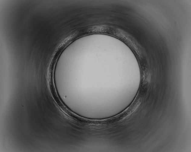 X0000086720725200705111554