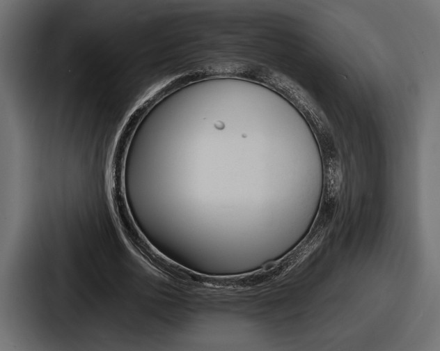 X0000086720726200705111554