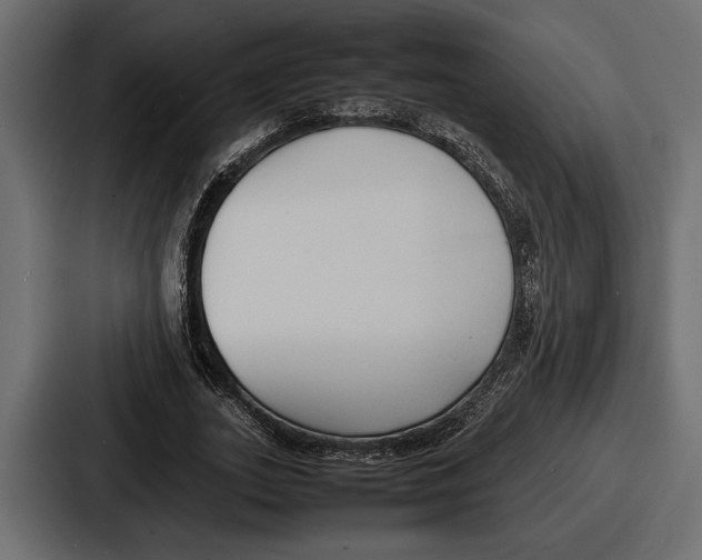 X0000086720727200705111554