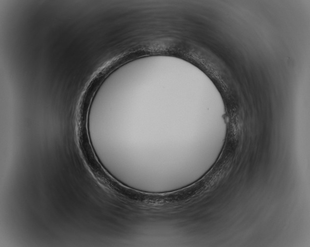 X0000086720728200705111554