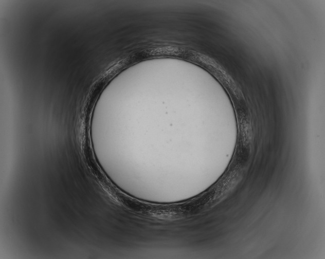 X0000086720729200705111554