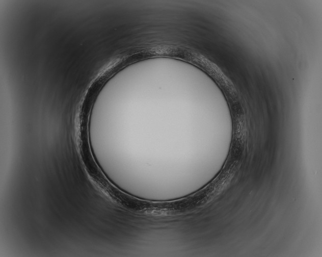 X0000086720730200705111554