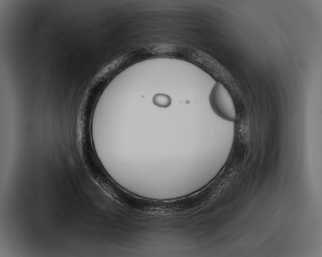 X0000086720732200705111554