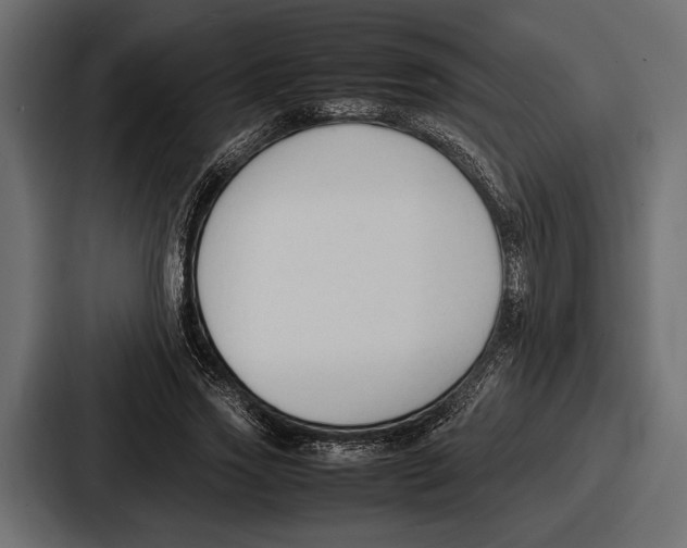 X0000086720733200705111554