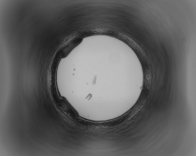 X0000086720734200705111554