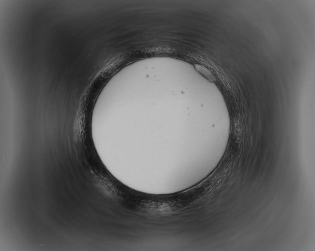 X0000086720735200705111554