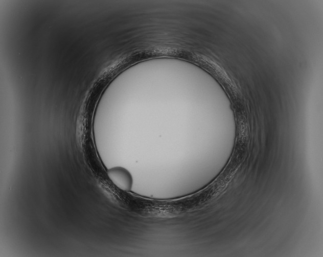 X0000086720736200705111554